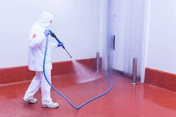 Best Playground Equipment Cleaning  in Metuchen, NJ